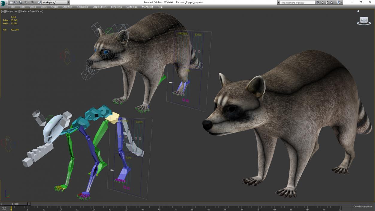 Raccoon Rigged 3D model