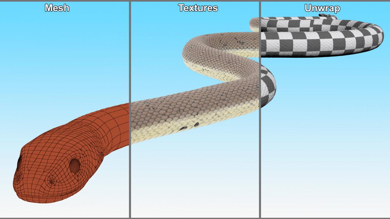 Natrix Natrix Rigged for Maya 3D model