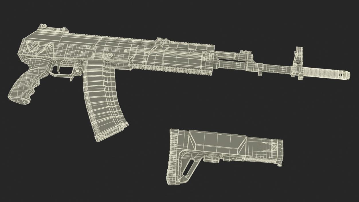 3D Assault Rifle AK-12 2011 New model