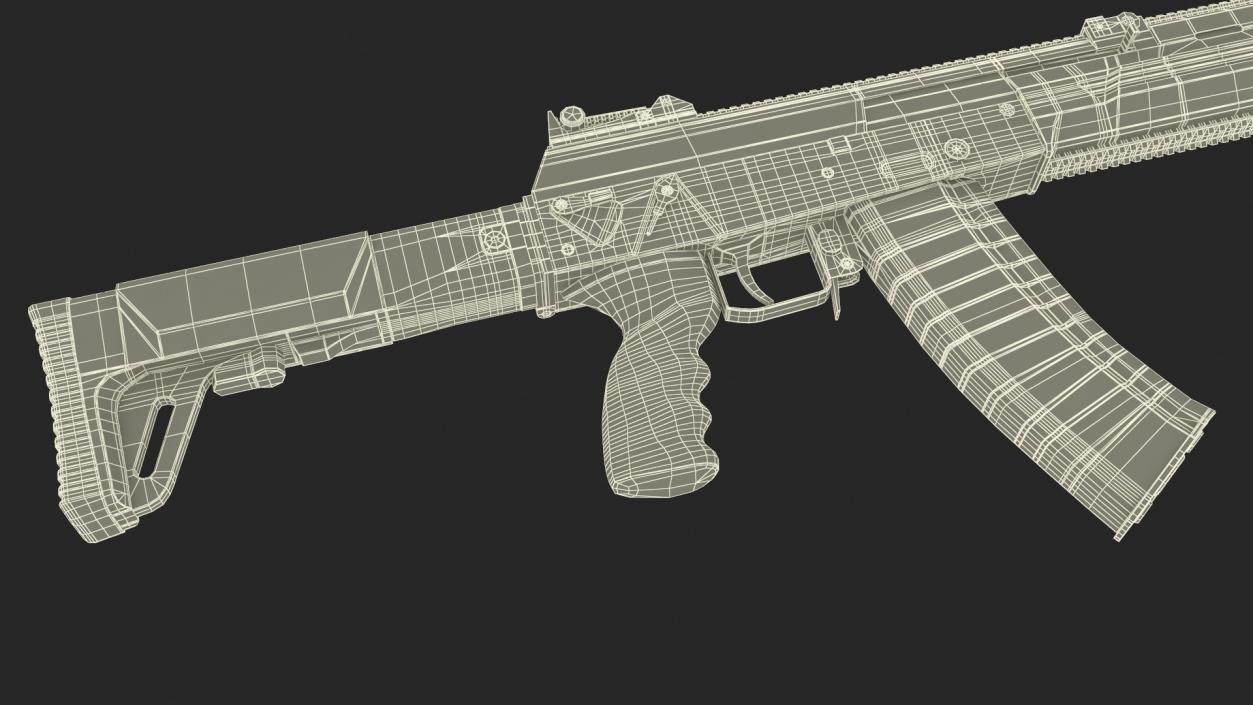 3D Assault Rifle AK-12 2011 New model