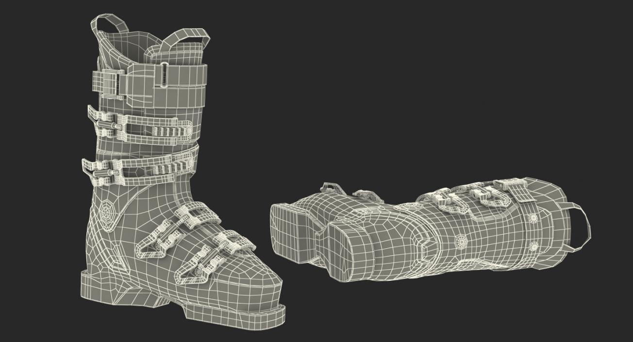 Ski and Snowboarding Boots 3D Models Collection 2 3D model