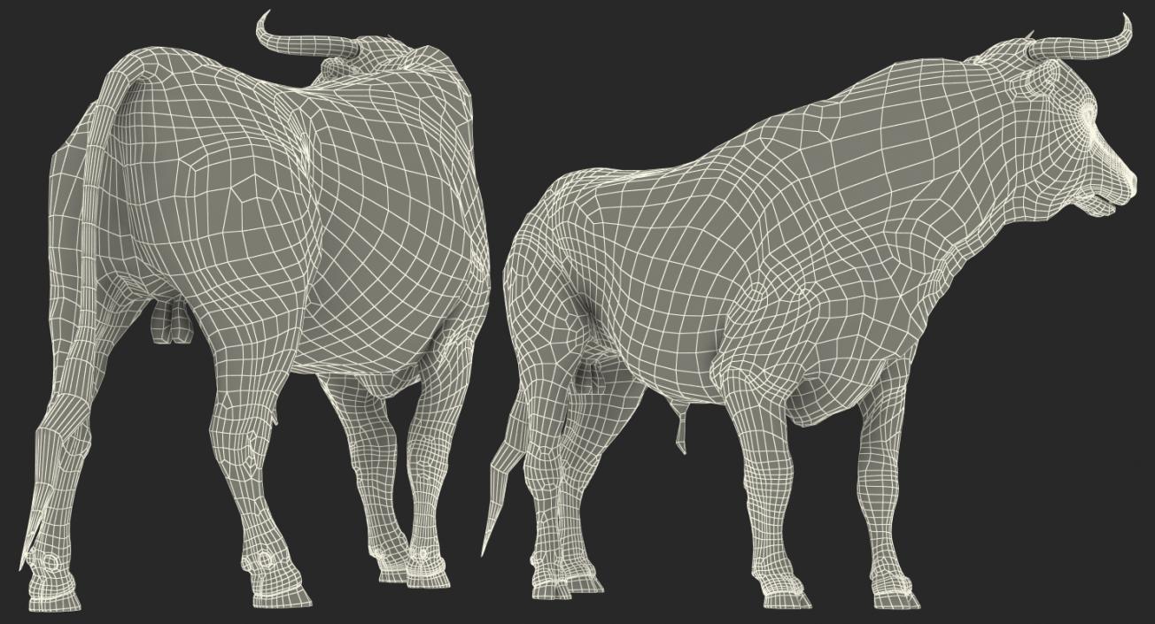 3D Bull Standing Pose model