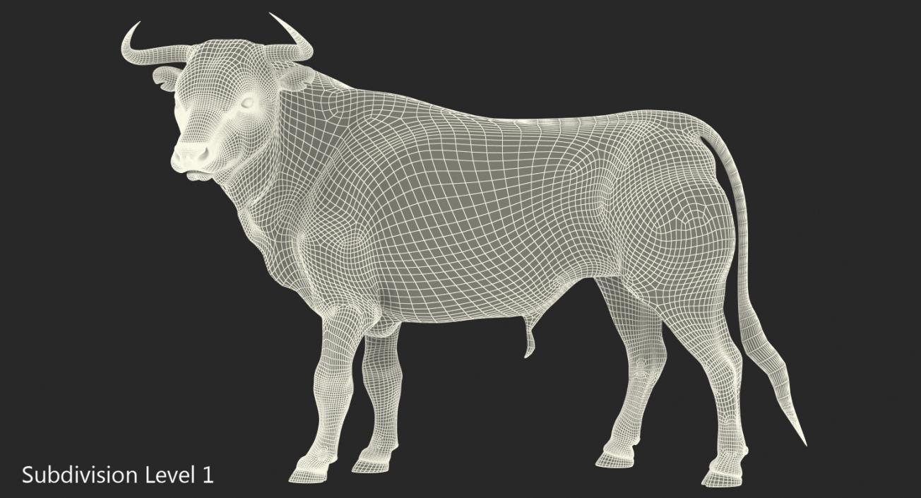 3D Bull Standing Pose model