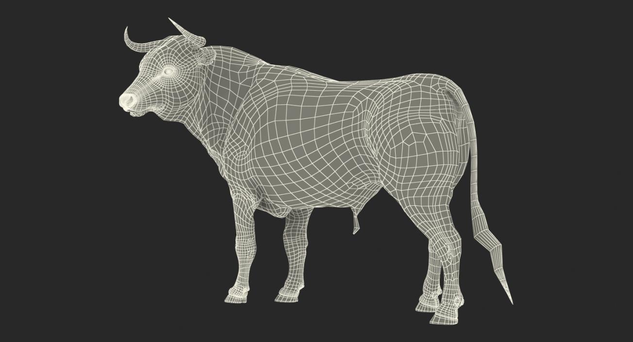 3D Bull Standing Pose model