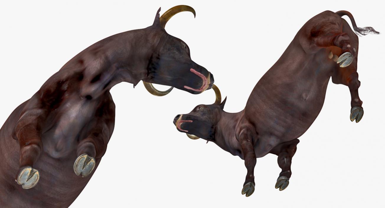 3D Bull Standing Pose model