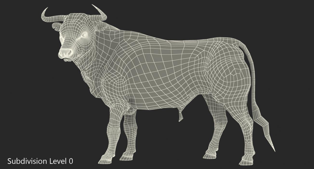 3D Bull Standing Pose model