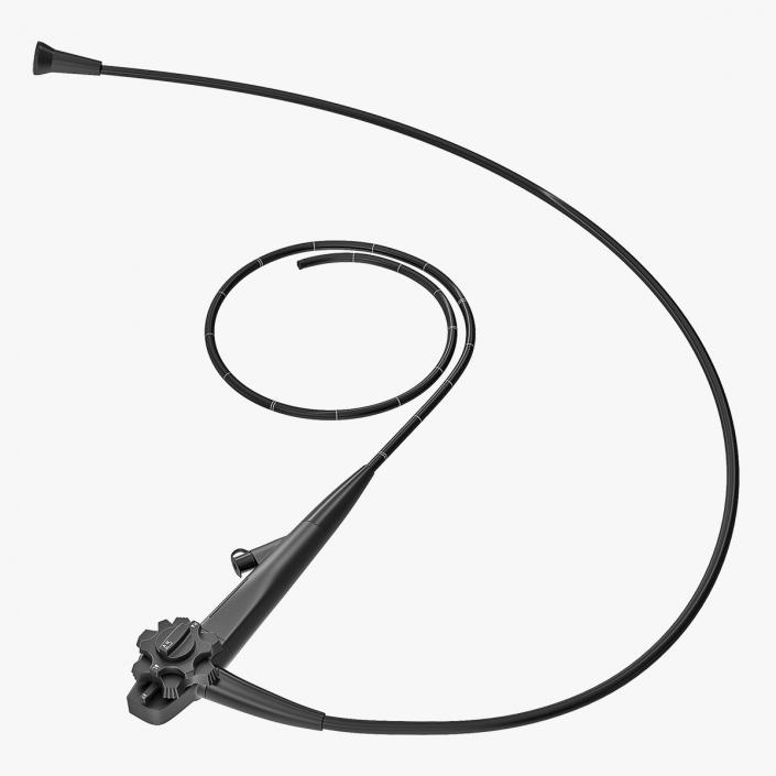 Endoscope 3D model