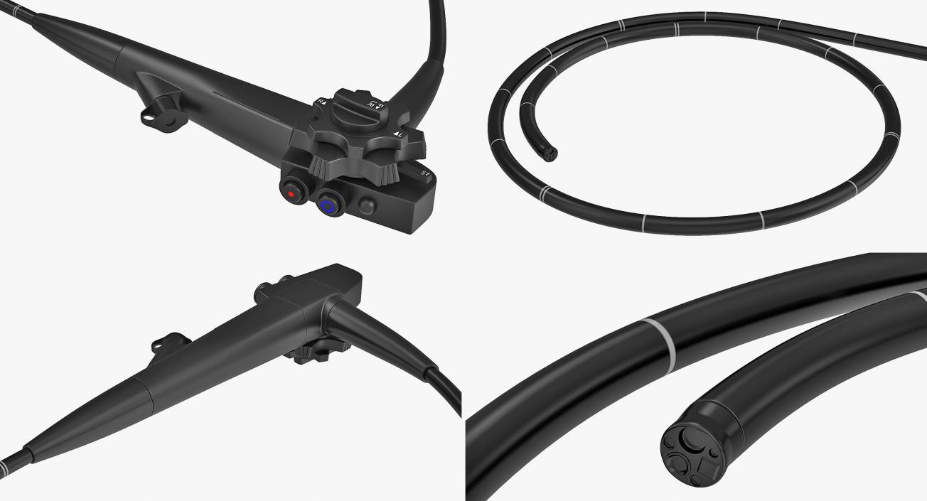 Endoscope 3D model