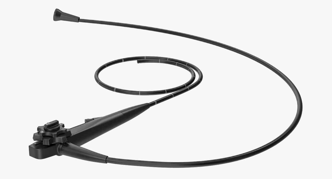 Endoscope 3D model