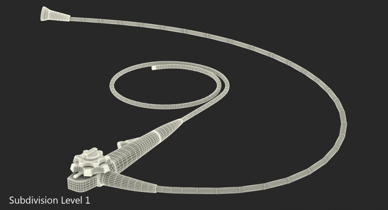 Endoscope 3D model