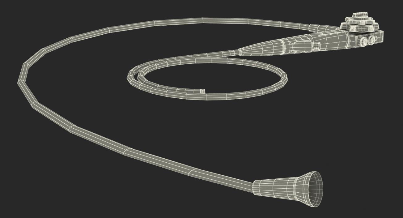 Endoscope 3D model