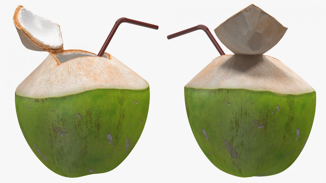 3D Opened Green Coconut with Straw