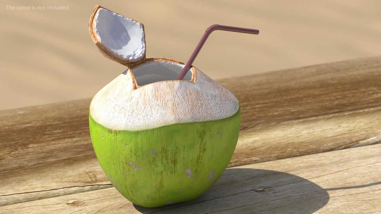 3D Opened Green Coconut with Straw