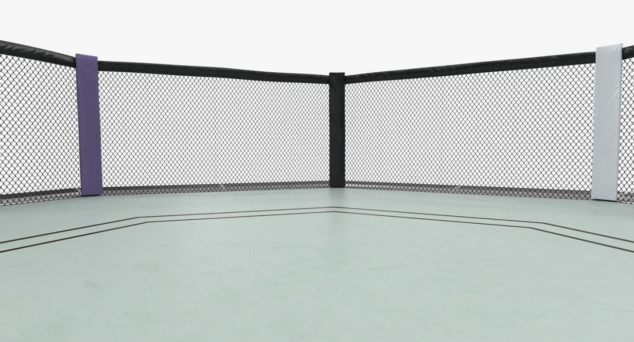 Fighting Octagon Arena 3D