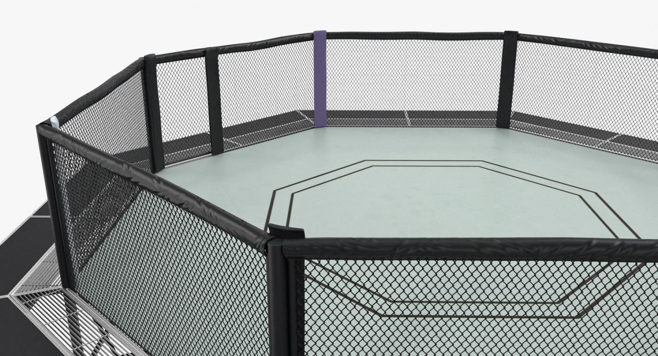 Fighting Octagon Arena 3D