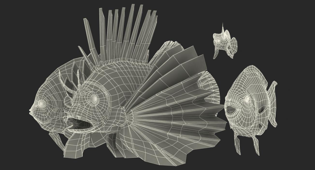 Coral Fishs Collection 2 3D model