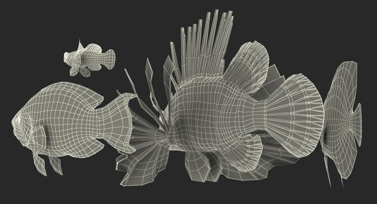 Coral Fishs Collection 2 3D model