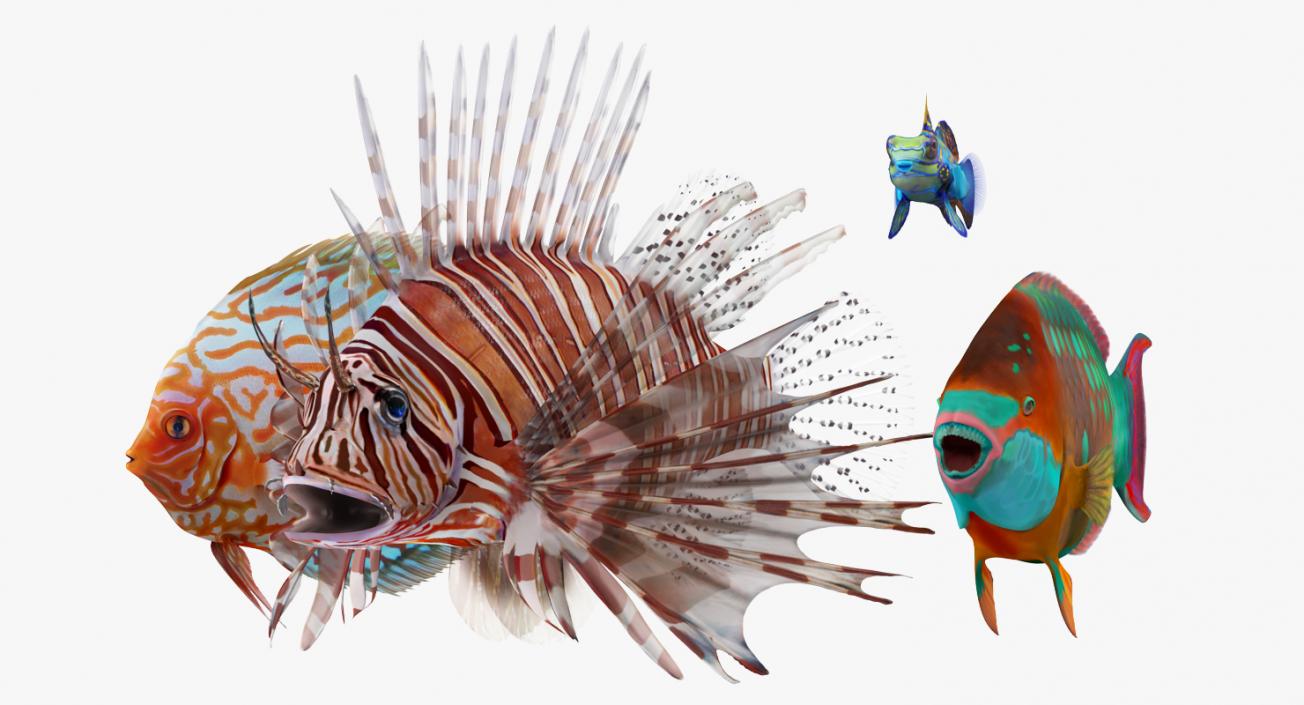 Coral Fishs Collection 2 3D model