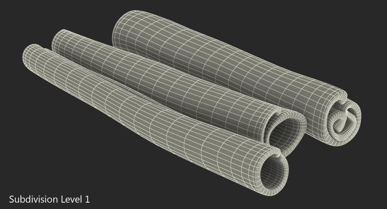 3D model Cinnamon Sticks