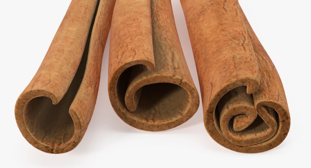 3D model Cinnamon Sticks