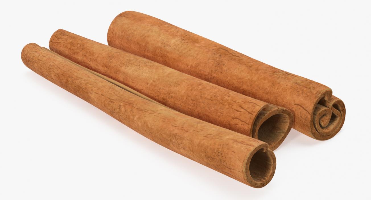 3D model Cinnamon Sticks