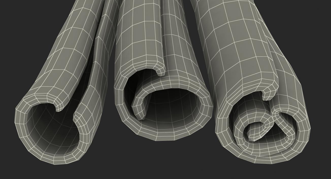 3D model Cinnamon Sticks