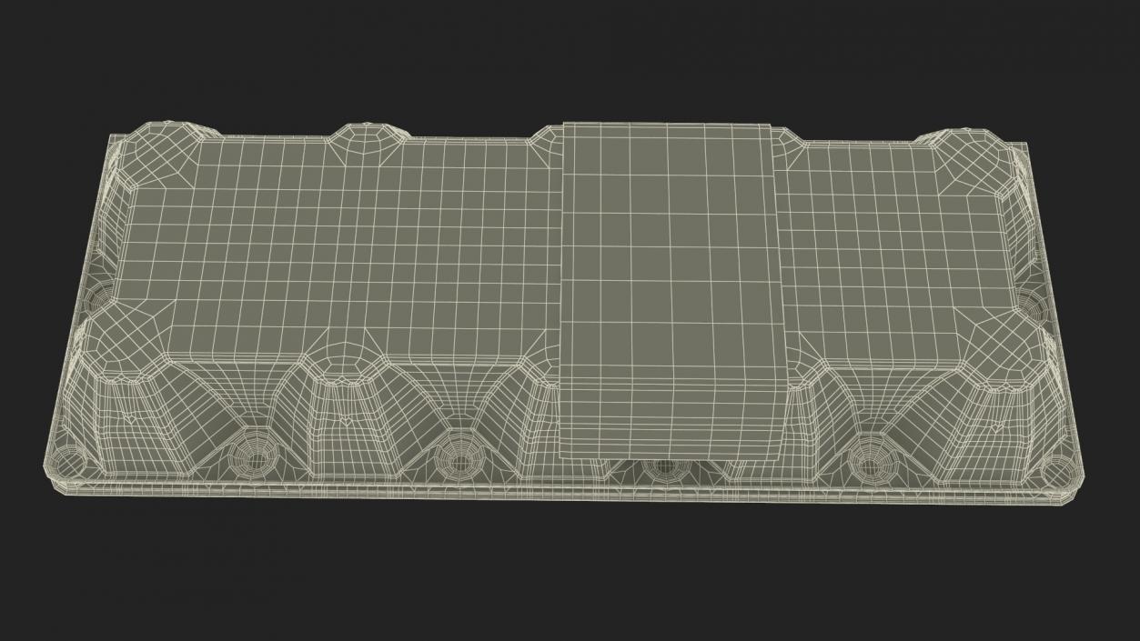 3D Empty Plastic Tray for 10 Chicken Eggs model