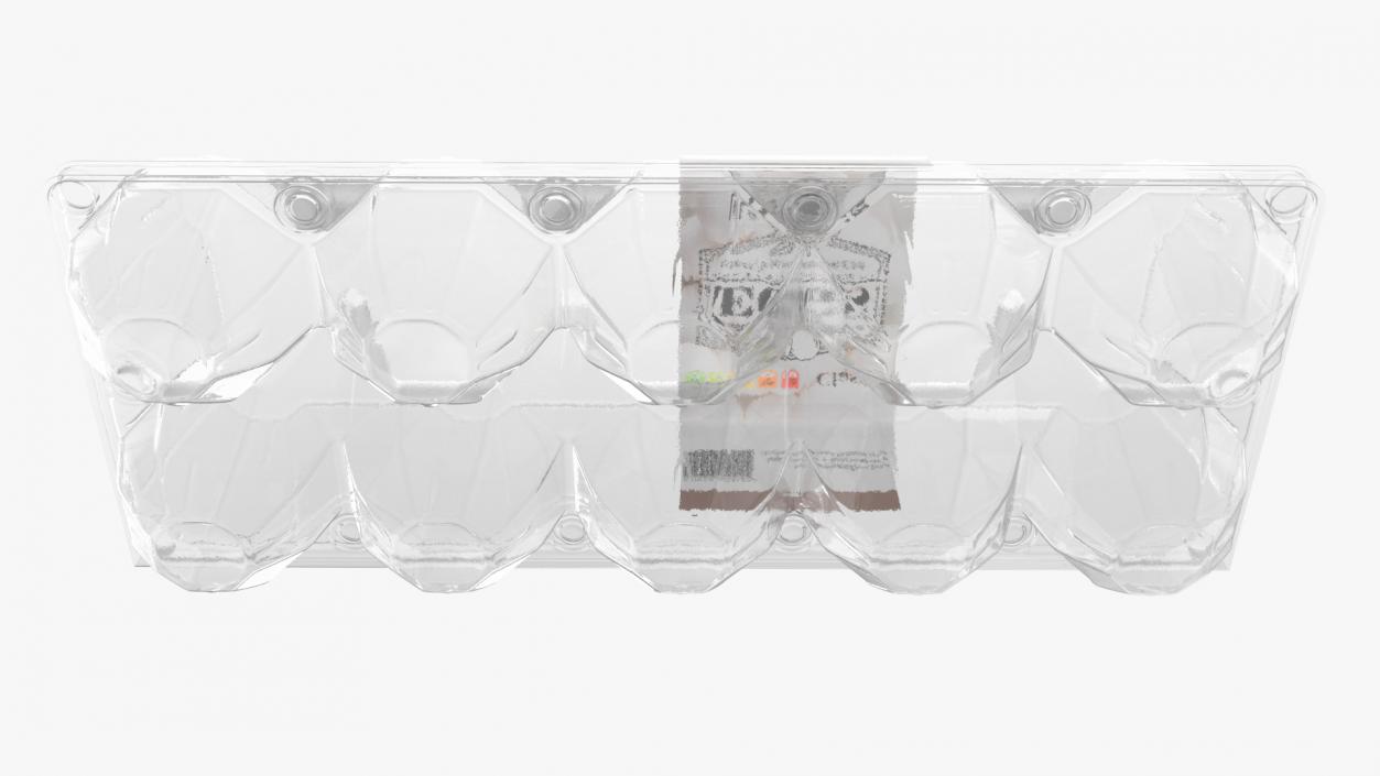 3D Empty Plastic Tray for 10 Chicken Eggs model