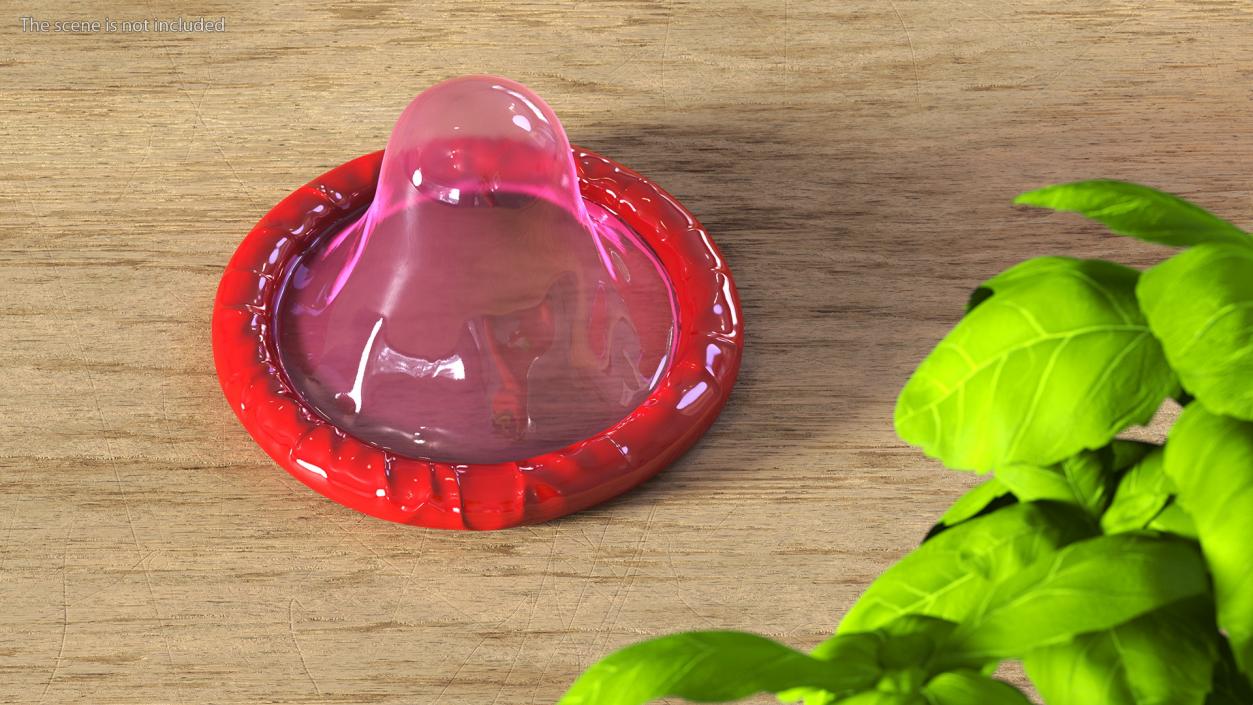 3D model Condom