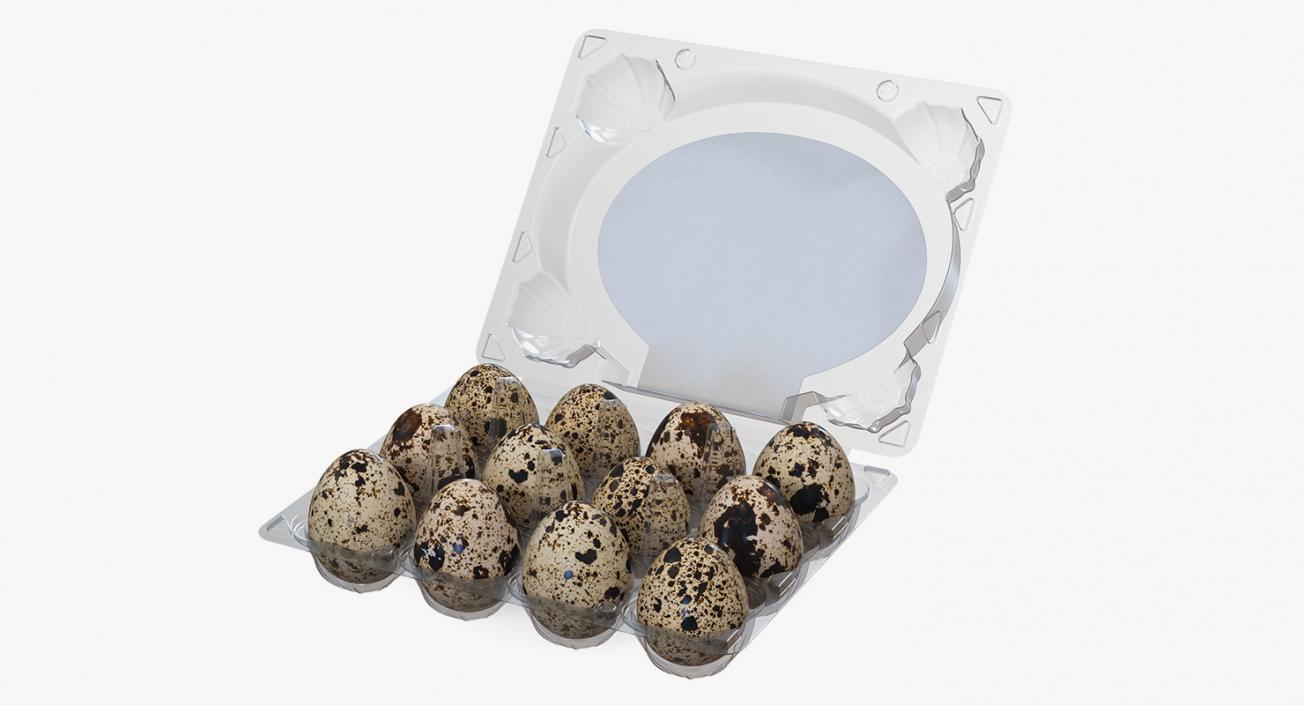 Quail Eggs in Open Box 3D