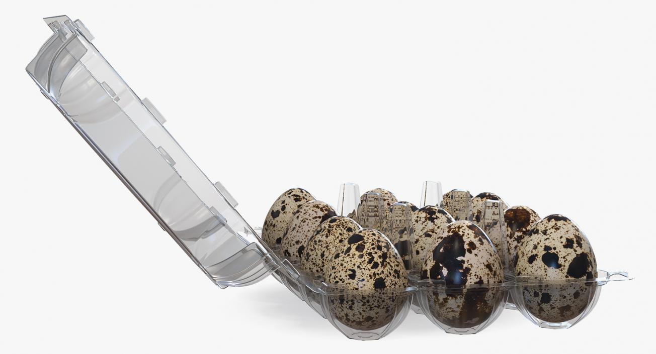 Quail Eggs in Open Box 3D