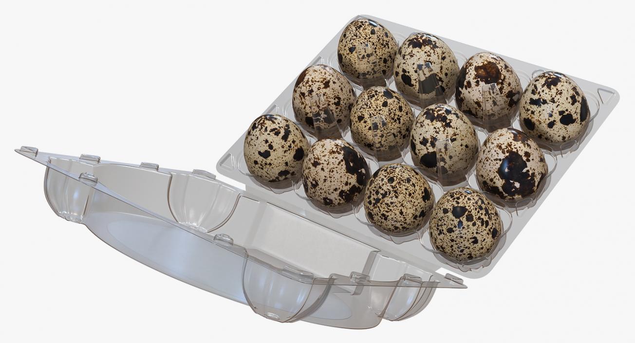 Quail Eggs in Open Box 3D