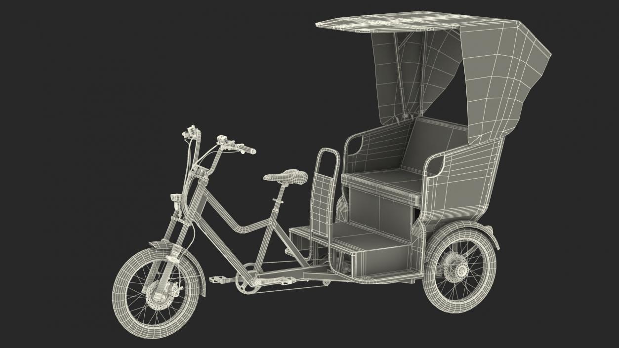 Commercial Grade Electric Trike with Passenger Seat(1) 3D model