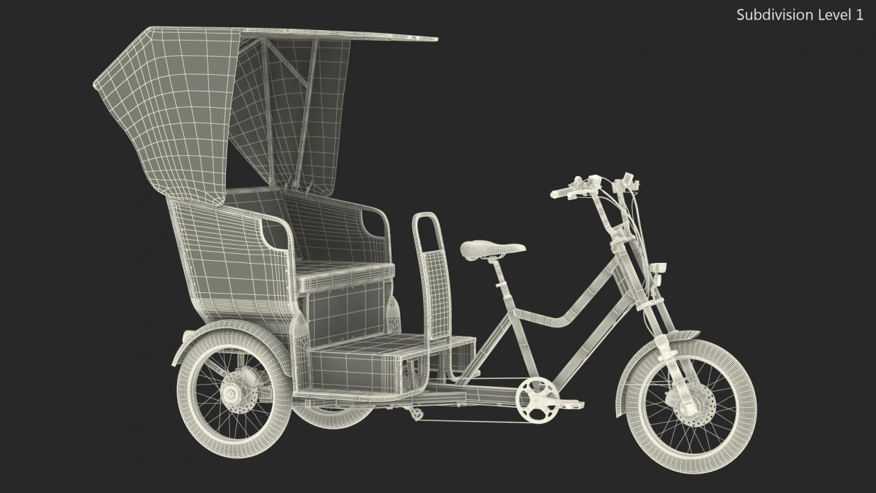 Commercial Grade Electric Trike with Passenger Seat(1) 3D model