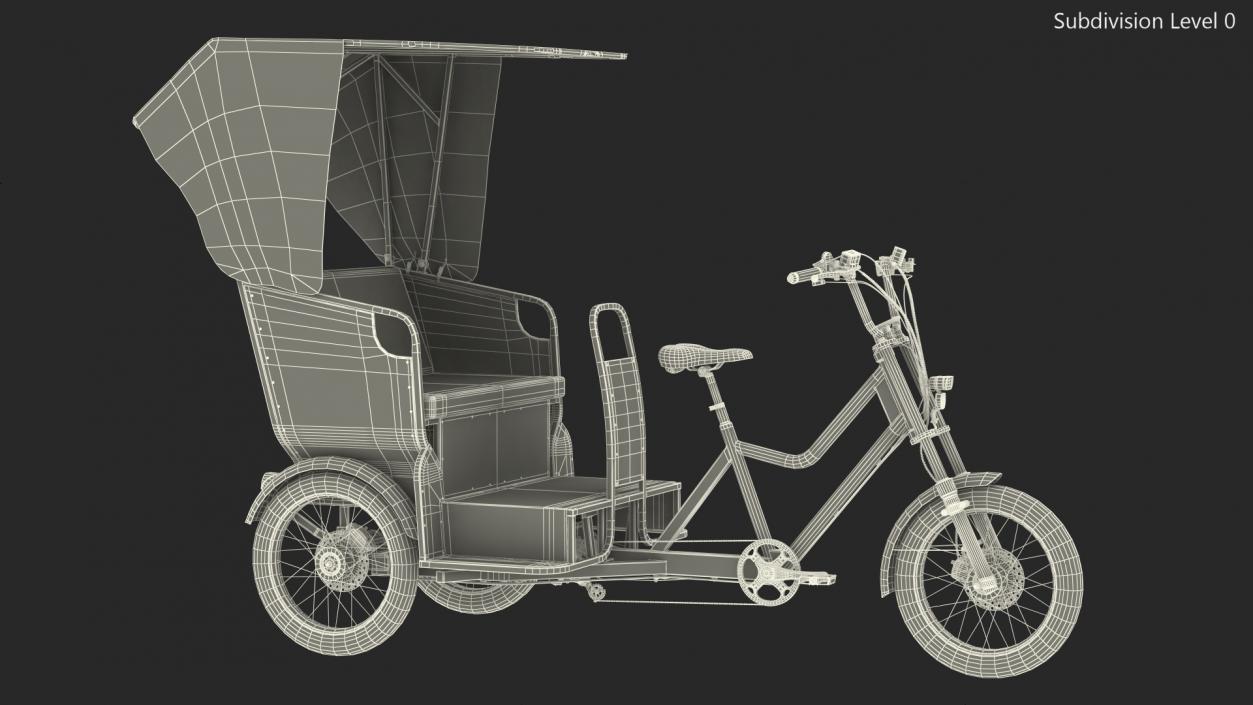 Commercial Grade Electric Trike with Passenger Seat(1) 3D model