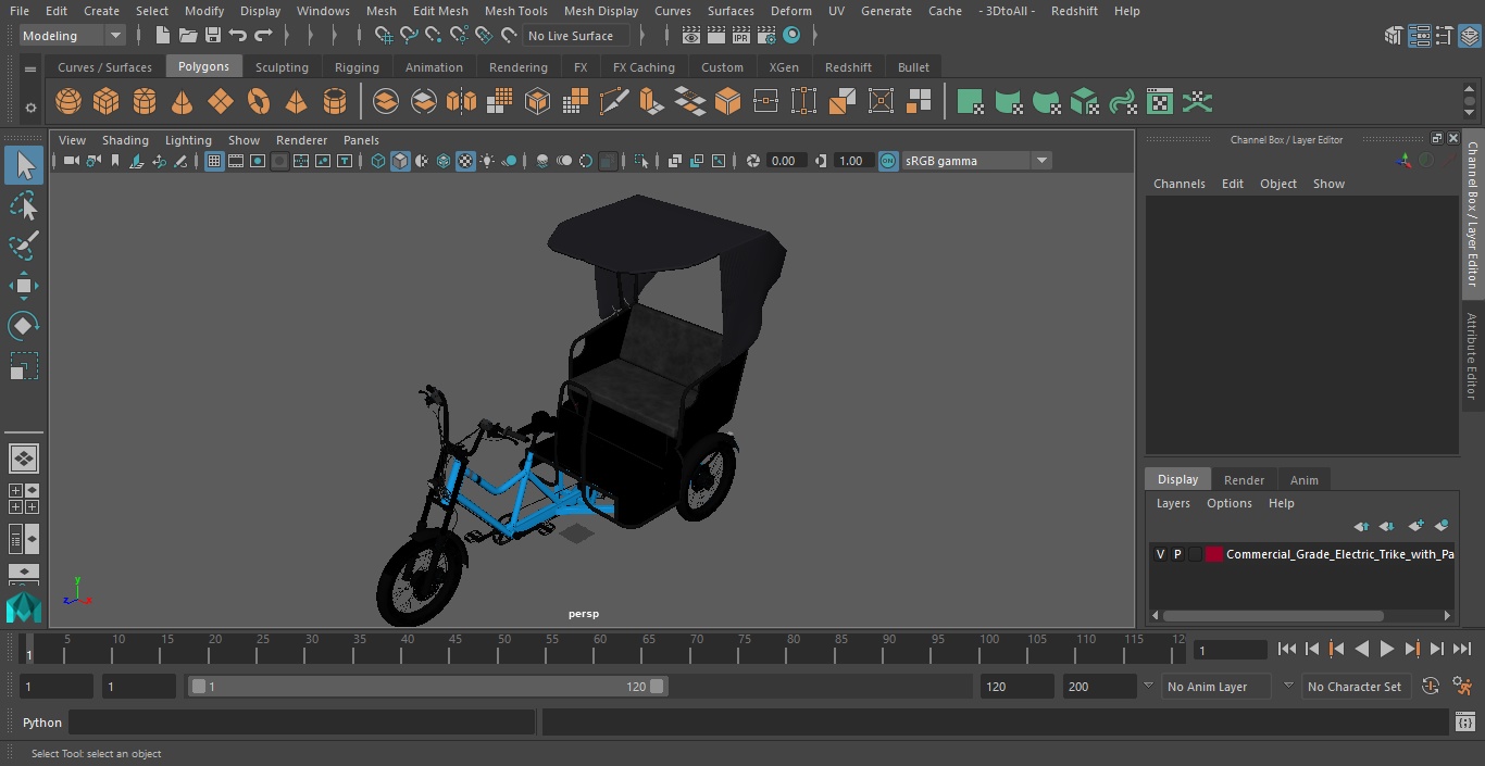 Commercial Grade Electric Trike with Passenger Seat(1) 3D model