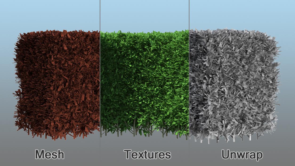 3D Decorative Shrubs Collection model