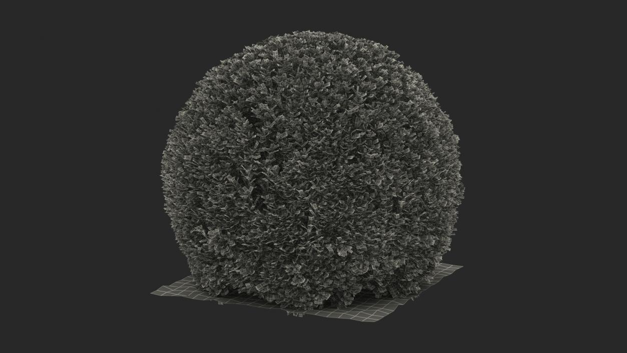 3D Decorative Shrubs Collection model