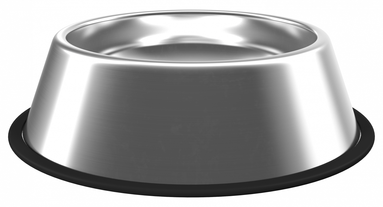 3D Empty Stainless Steel Bowl