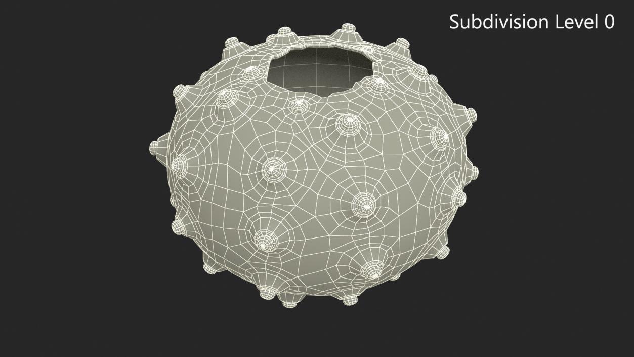 3D Sputnik Sea Urchin Seashell Green model