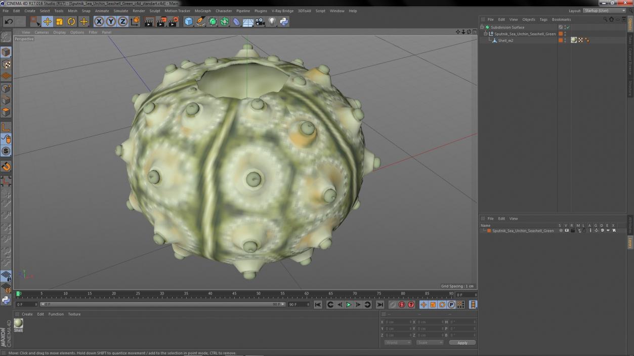 3D Sputnik Sea Urchin Seashell Green model