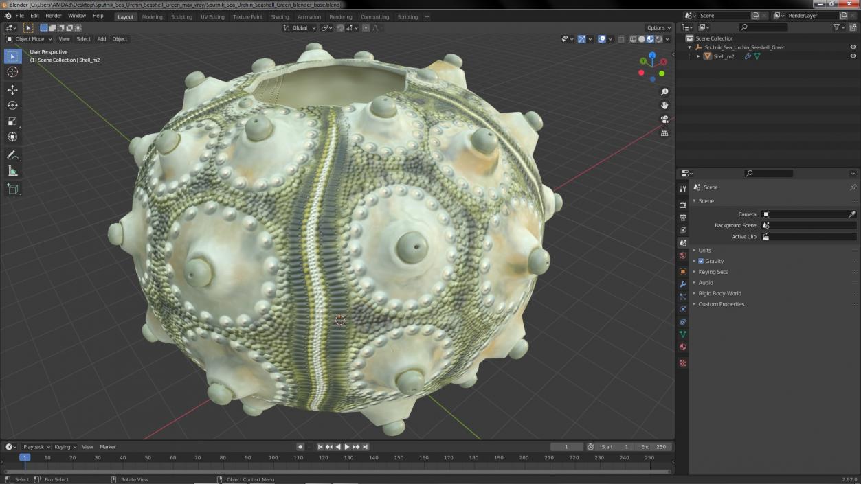 3D Sputnik Sea Urchin Seashell Green model