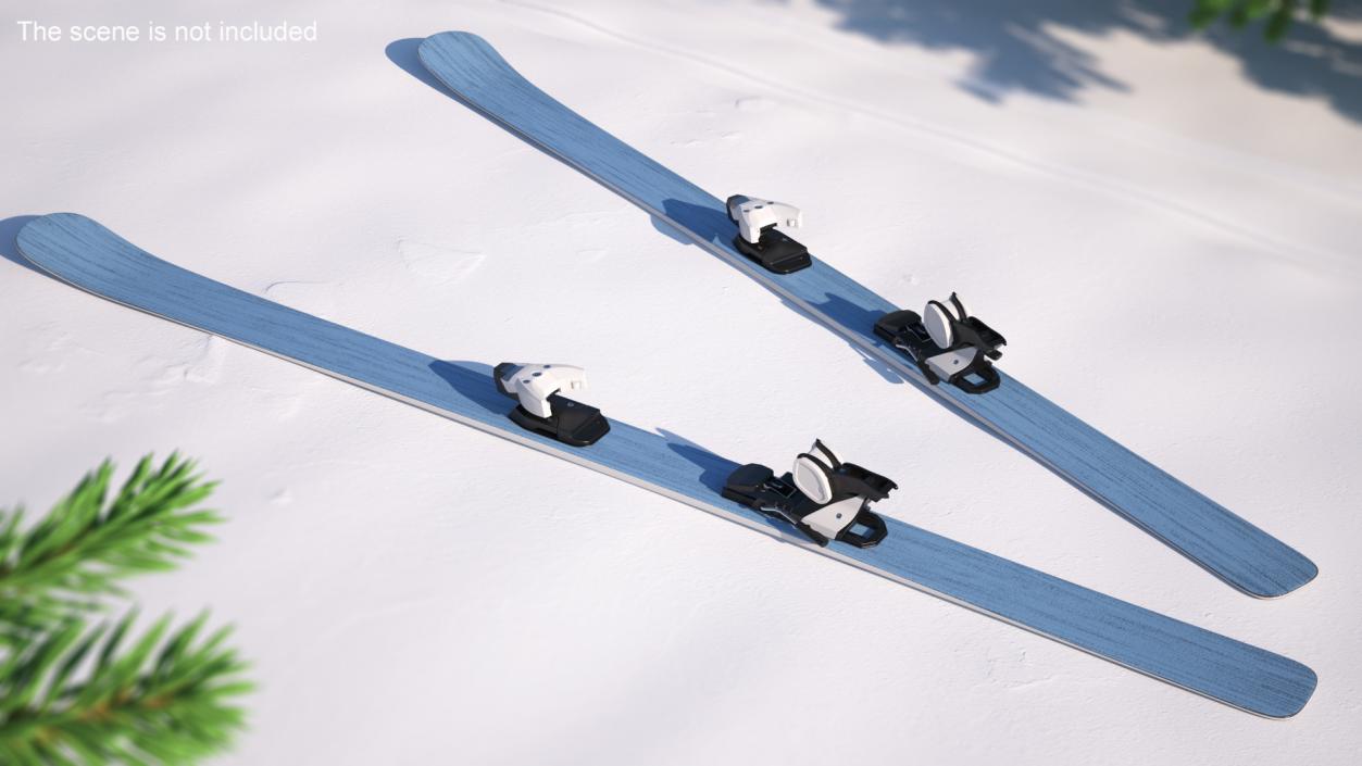 3D Snow Skis 1