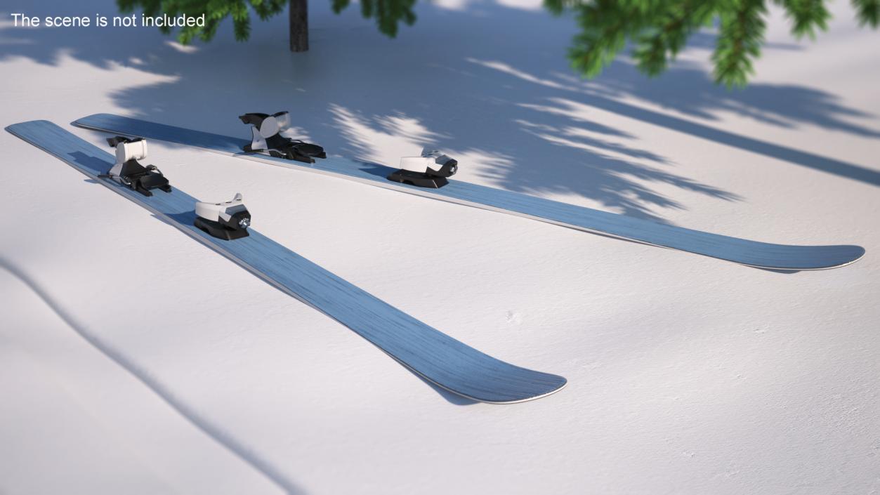 3D Snow Skis 1