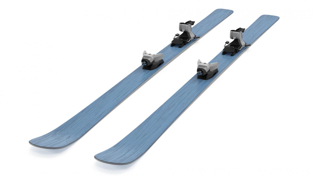 3D Snow Skis 1