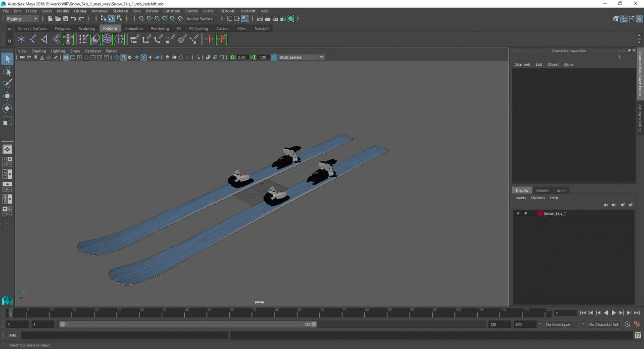 3D Snow Skis 1