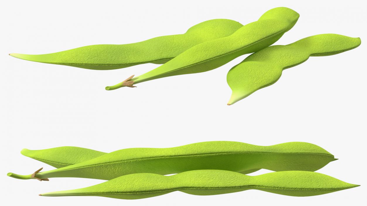 Edamame Green Soybeans Closed 3D model