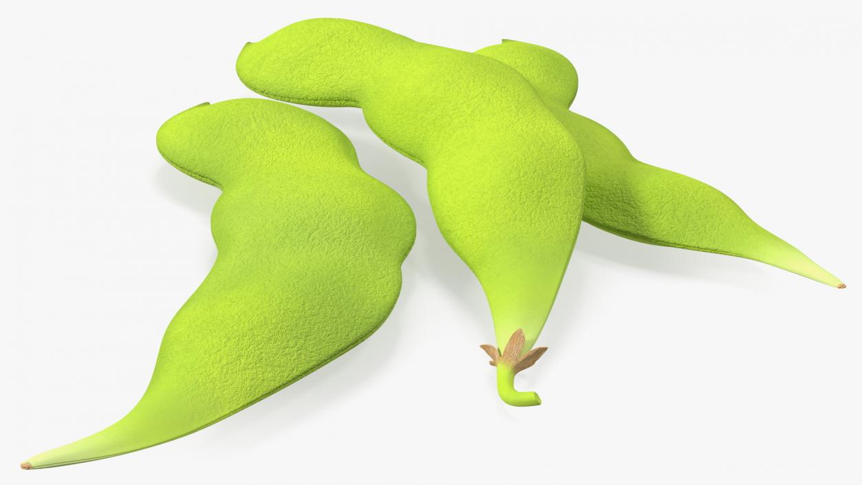 Edamame Green Soybeans Closed 3D model