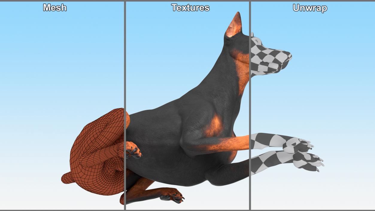 Doberman Pinscher Dog Lying Down 2 3D model