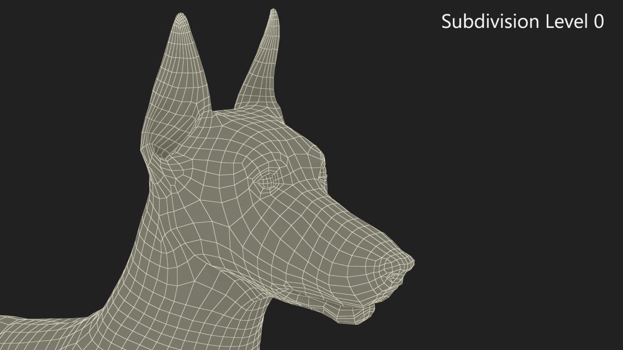 Doberman Pinscher Dog Lying Down 2 3D model